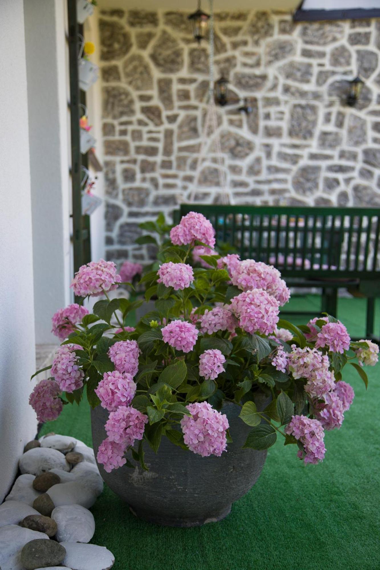 Apartman Flumen Mostar Exterior foto